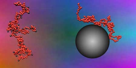  small nanoparticles stick to segments of polymer chain