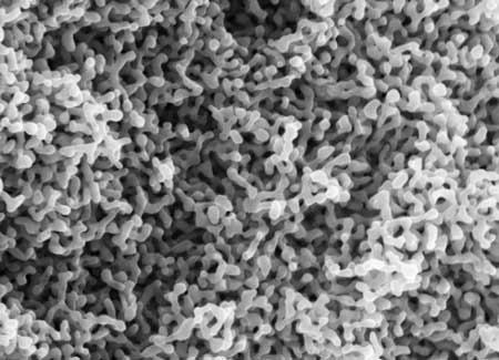 Electron micrographs of the nanoporous gold network