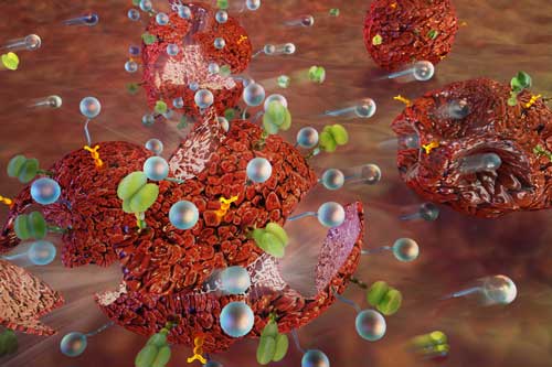 tethering hundreds of nanoparticles to the surfaces of tumor cells
