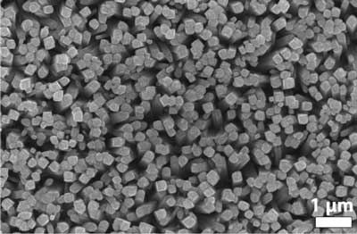 an array of titanium dioxide nanorods