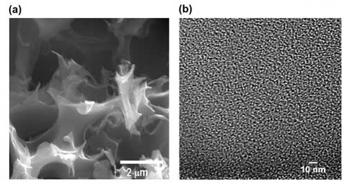 A scanning electron microscope image, left, and a high-resolution transmission electron microscope image show an activated, sulfur-containing porous carbon sample