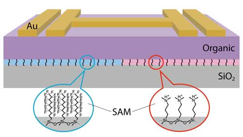 Coating the surface of polymer transistors with self-assembled monolayers (SAMs) that trap either positive (P-unipolar) or negative (N-unipolar) charges improves device switching and efficiency