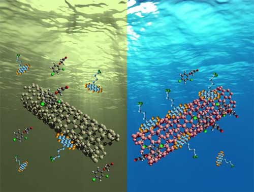 Single-Walled Carbon Nanotubes filter waste water