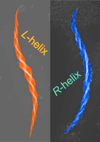 Colorized electron microscope images of a right-handed helix and a left-handed helix