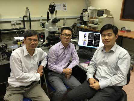 (L-R) Professor Hong Minghui, Dr Qin Fei and Associate Professor Qiu Cheng Wei
