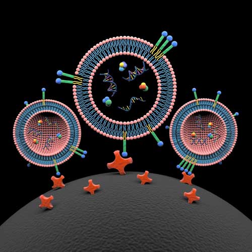 Lipid nanoprobes (blue, green and yellow colored) spontaneously insert into lipid bilayer of three extracellular vesicles