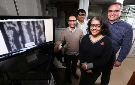 Iowa State University researchers, left to right, Metin Uz, Suprem Das, Surya Mallapragada and Jonathan Claussen are developing technologies to promote nerve regrowth