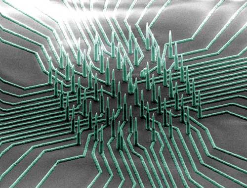 colorized SEM image of the nanowire array