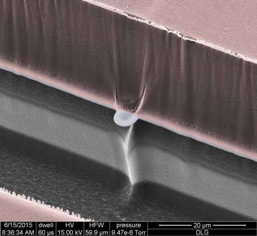 A scanning electron micrograph shows a nano-SPEAR suspended midway between layers of silicon (grey) and photoresist material (pink) that form a recording chamber for immobilized nematodes