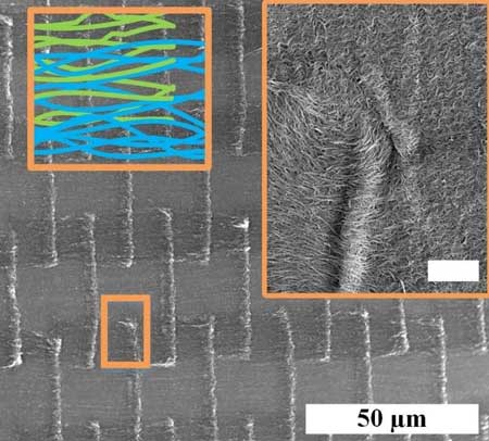 Architectured Carbon Nanotube