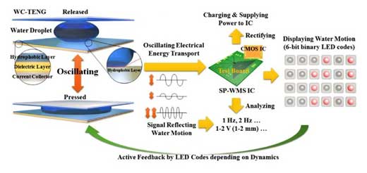 Scheme of SS-WMS platform for detecting water motion