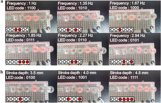 LEDs of SS-WMS platform for water motion detection in the variation of frequency and amplitude