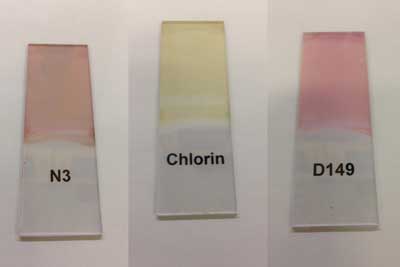 The photoresponsive effect can be highly tuned by selecting from among thousands of available organic dyes