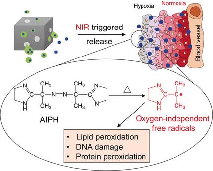 Free-radical-generating hybrid nanomaterial for the oxidative destruction of hypoxic cancer cells.