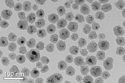 iron oxide nanoparticles coated in a mesoporous silica