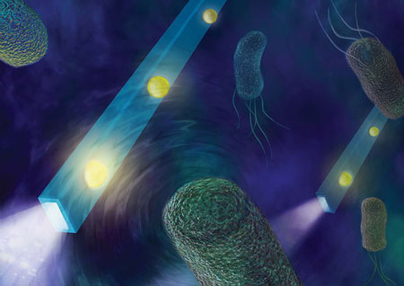 An artist’s illustration of nano optical fibers detecting femtonewton-scale forces produced by swimming bacteria