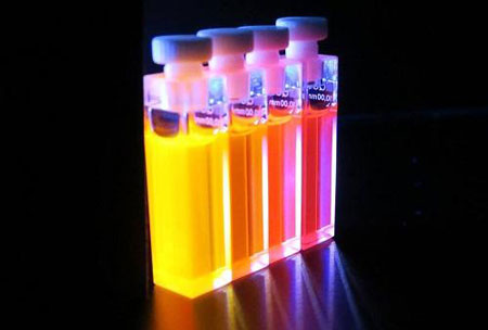 Fluorescence of the Conjugated Polymers in Solution
