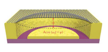 Schematic Cross-Section of a Graphene Drum