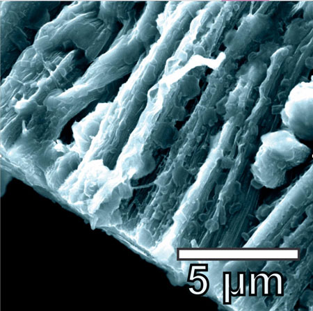 Lithium metal coats the hybrid graphene and carbon nanotube anode