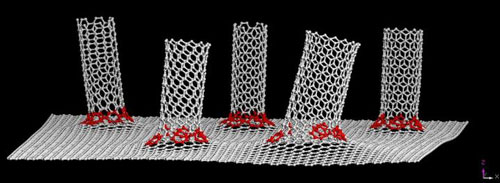 carbon nanotubes covalently bonded to a graphene substrate