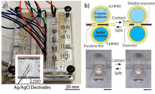 Micro-device used for DNA computing and nanopore measurement