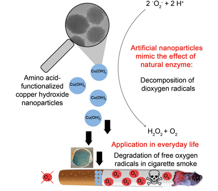 Artificially produced copper hydroxide nanoparticles catalyze the decomposition of oxygen radicals by imitating a natural enzyme-induced catalytic defense mechanism
