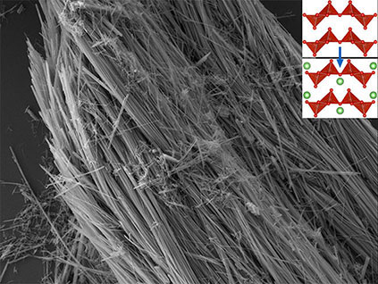 A scanning electron microscopy image of vanadium pentoxide nanowires