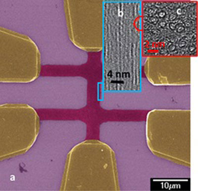 Metal contacts (gold regions) connect to highly aligned carbon nanotube patterned films (red strips)