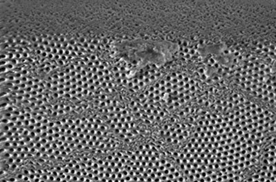 scanning electron microscope showing details of shear banding behavior of a nano-porous anodic aluminum oxide membrane