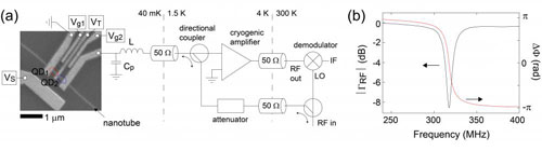 Schematic of a carbon nanotube device and radio-frequency detection circuit