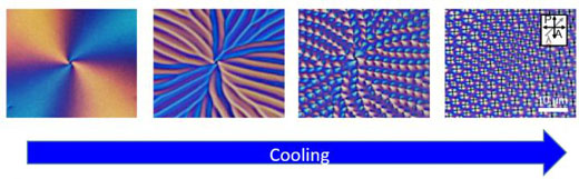 phase transition of the LC topological defect on cooling
