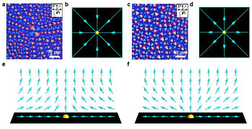 Polarizing optical microscopy images of topological defects depending on the strength of the director field