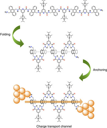 Schematic representation of the folding and anchoring processes needed to obtain <pi>-folded molecular junctions