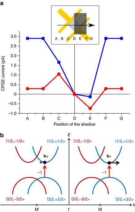 Origin of the circular photo-galvanic effect in lead sulfide nanosheets
