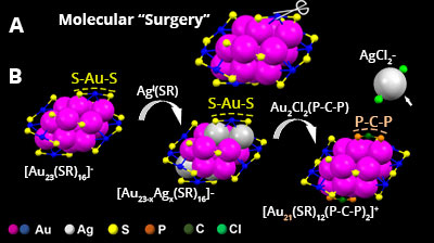 Schematic of molecular surgery on a 23-atom gold nanoparticle