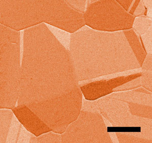 false-color image, produced with scanning electron microscopy, shows microscopic details on the surface of a copper foil