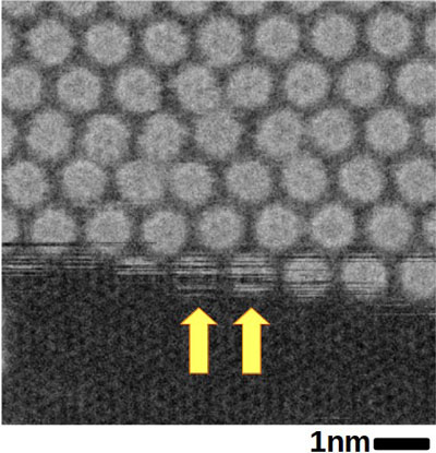 Scanning transmission electron microscope image of a fullerene layer between two graphene sheets