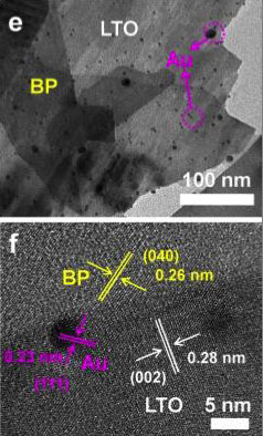 electron microscope images of visible-NIR light responsible photocatalyst composed with black phosphorous (BP), lanthanum titanate (LA2Ti2O7, LTO), and gold nanoparticles (Au)