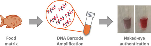 A smart universal tool based on a simplified DNA barcoding technique combined with nanotechnology enables food authentication with the naked eye 