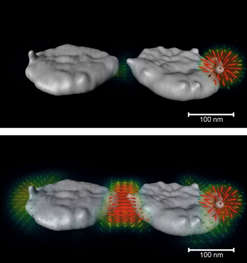 3D image of plasmon fields on nanparticles