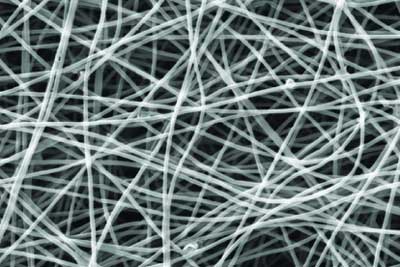 Carbon nanofibers coated with PEDOT in a scanning electron microscope image