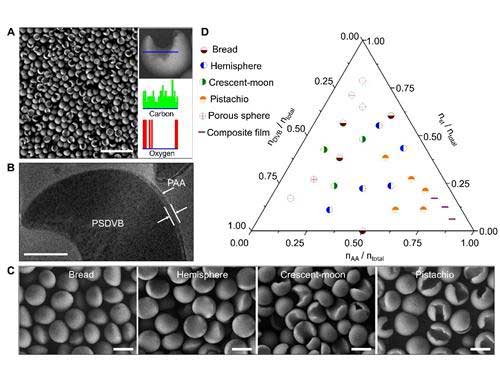 synthesis and characterization of Janus particles