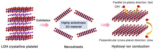 A layered double hydroxide (LDH) crystalline platelet was exfoliated into single-layer nanosheets