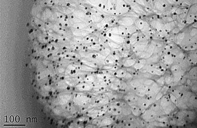 Cross-section of a cotton fiber with silver nanoparticles (black dots) trapped inside it