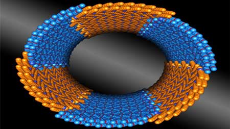 a family of synthetic polymers that self-assemble into nanotubes with consistent diameters