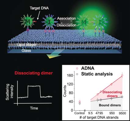 DNA quantification by light scattering