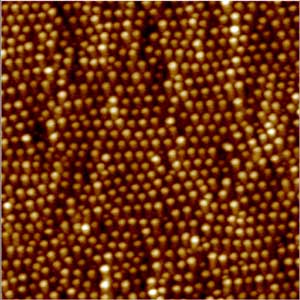 A microscopy photo showing an array of precisely placed metallic  nanoparticles on the surface of a gallium arsenide semiconductor