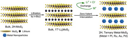 encapsulation of noble metal nanoparticles in MoS2 by an in-situ reduction strategy