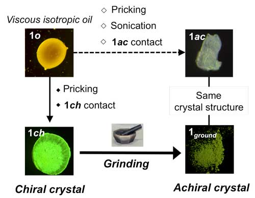 Viscous oil made from gold and isocyanide crystalizes in response to stimuli either into a chiral crystal or achiral crystal