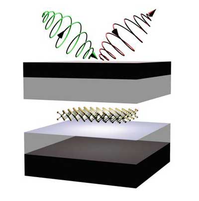 Schematic showing control of valley properties in 2-D semiconductors embedded in microcavity